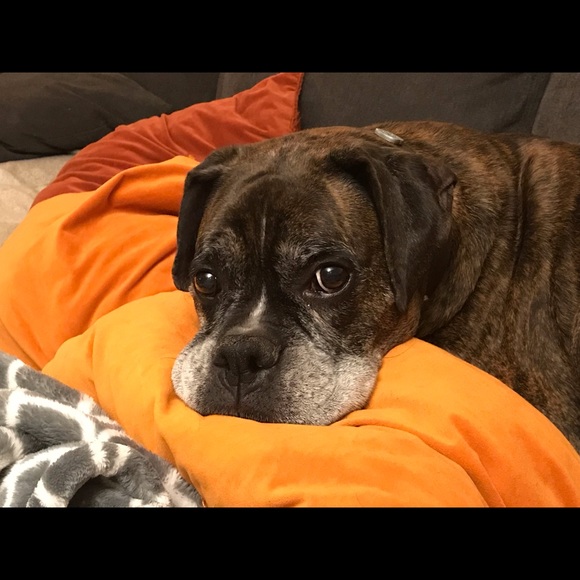 Meet your Posher, Robyn - Picture 2 of 8